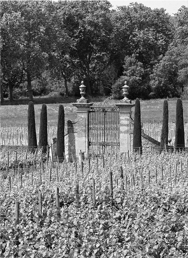 sud de la france noir blanc
