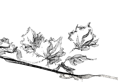 branche-saint-martin-mobile