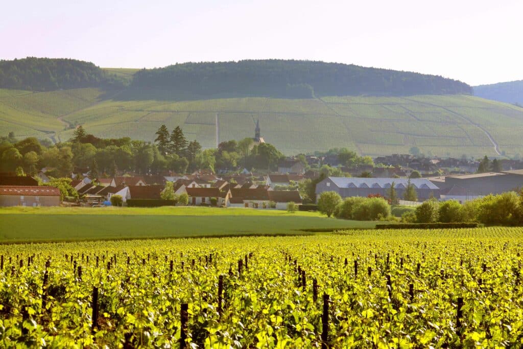 La magie de Chablis : en premier plan le vignoble chablisien, en second plan, le village de Chablis et en troisième plan la colline des Grands Crus.