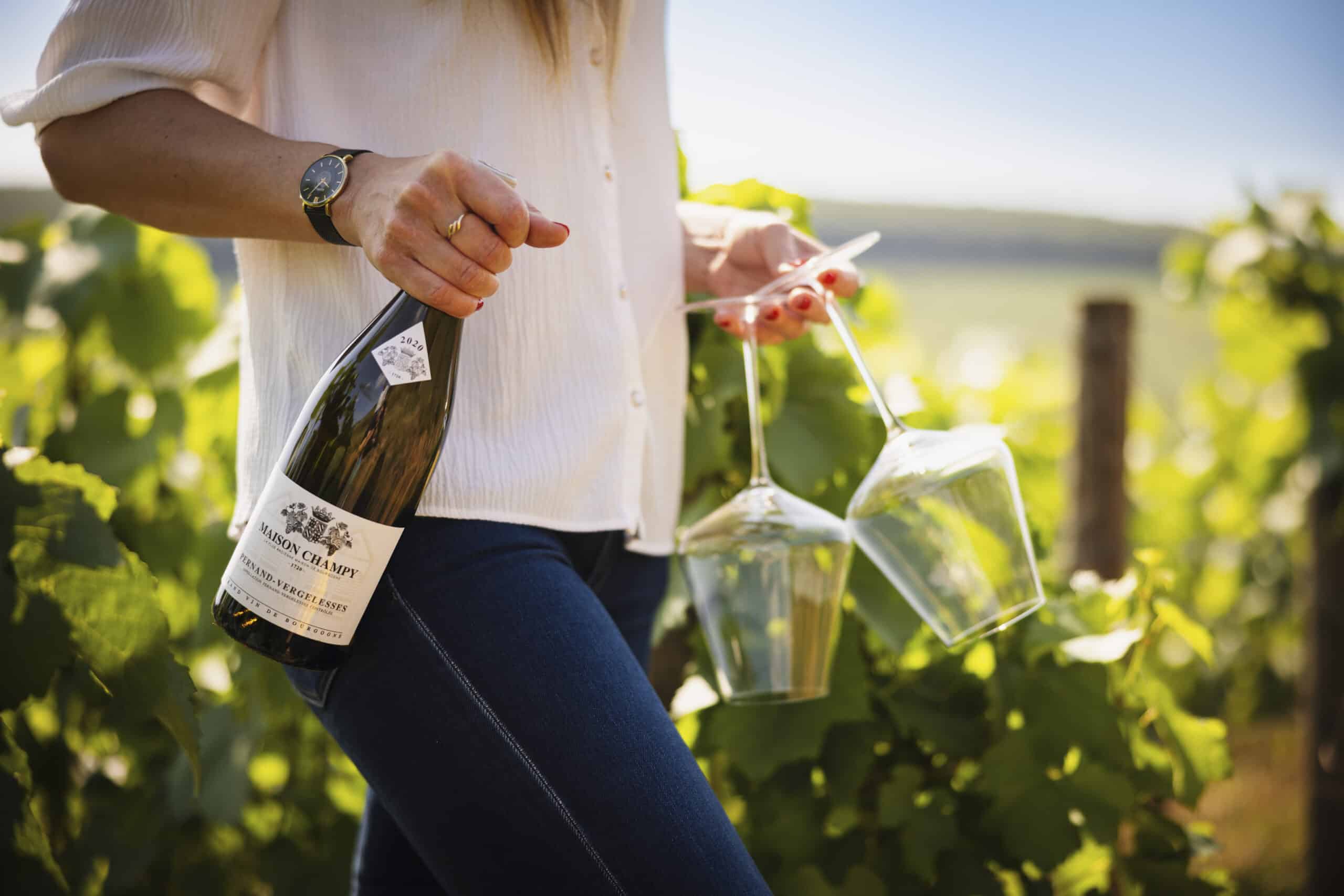 LEXPERIENCE BOURGUIGNONNE scaled